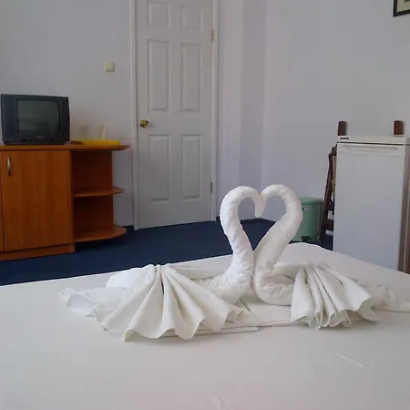 Diana Guest house 3*