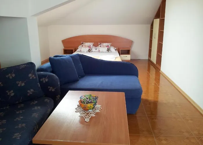 Guest house Diana 3*