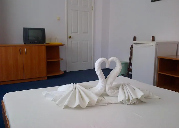 Diana Guest house 3*